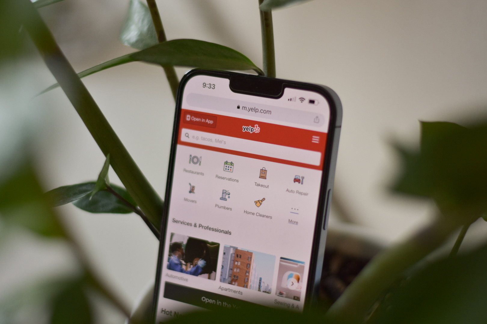 image for yelp data analysis